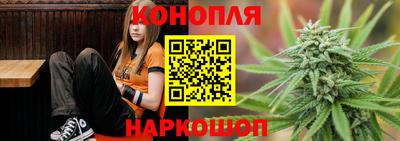 шишки Шелехов