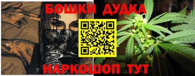 шишки Шелехов