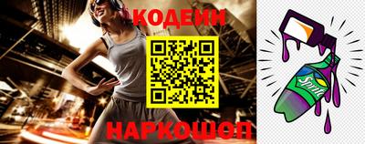 шишки Шелехов