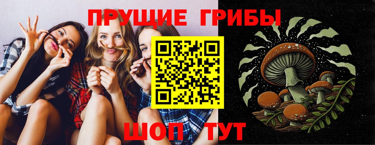 Выборг  Псилоцибиновые грибы GOLDEN TEACHER  Вход с VPN 