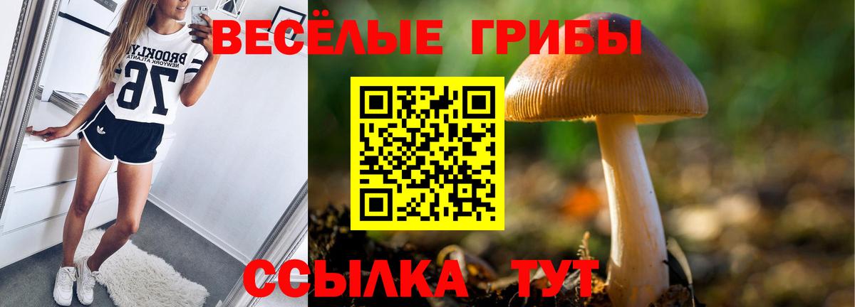 Галлюциногенные грибы прущие грибы Выборг